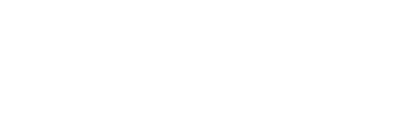 Netis